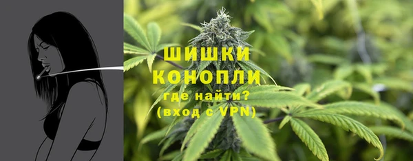 стафф Новозыбков