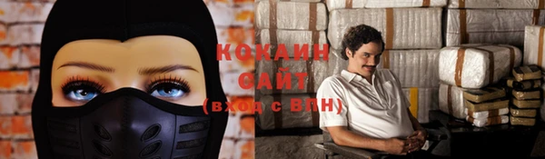 стафф Новозыбков