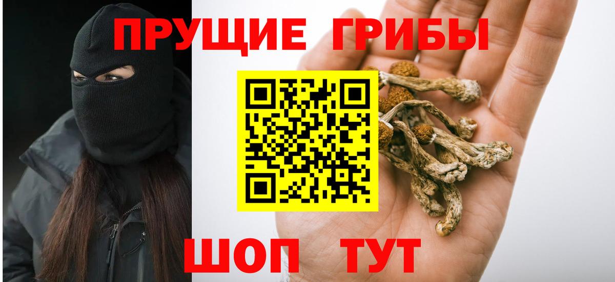 Псилоцибиновые грибы Cubensis  Вход с VPN  Домодедово  Галлюциногенные грибы Psilocybe 