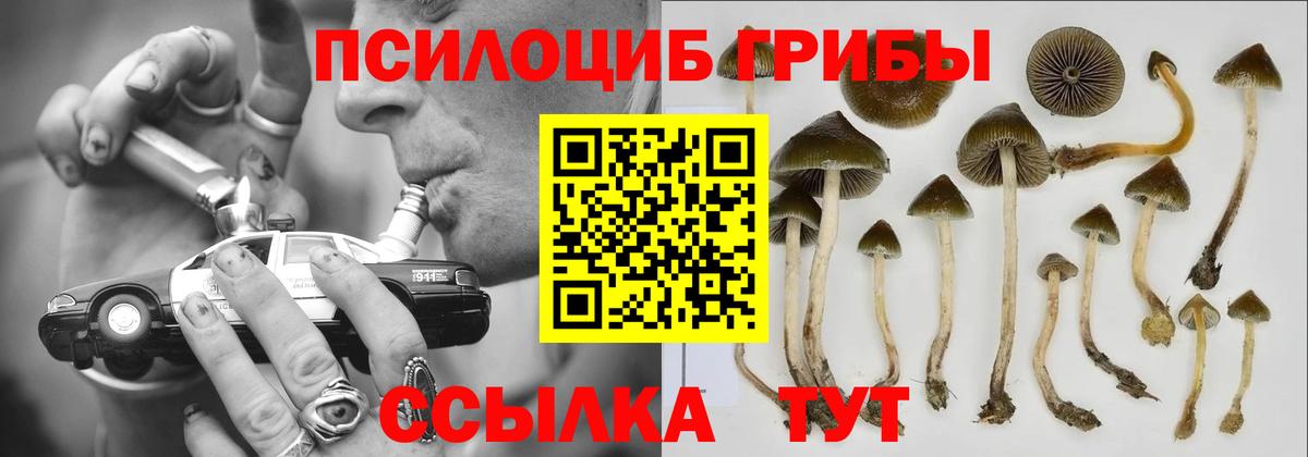 Псилоцибиновые грибы GOLDEN TEACHER  Домодедово  Псилоцибиновые грибы MAGIC MUSHROOMS 