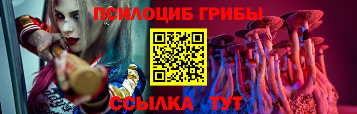 Псилоцибиновые грибы MAGIC MUSHROOMS Домодедово